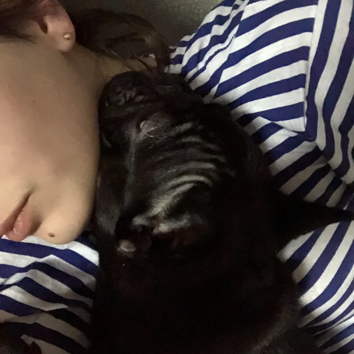 А ещё я очень скучаю по своей собаке. 