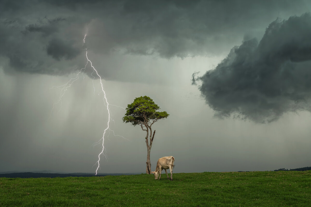 Que significa tormentas dispersas