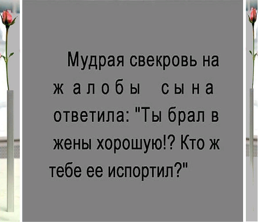 Свекровь а я ей кто. Мудрые высказывания про свекровь. Высказывания о свекрови. Цитаты про свекровь. Умные высказывания про свекровь