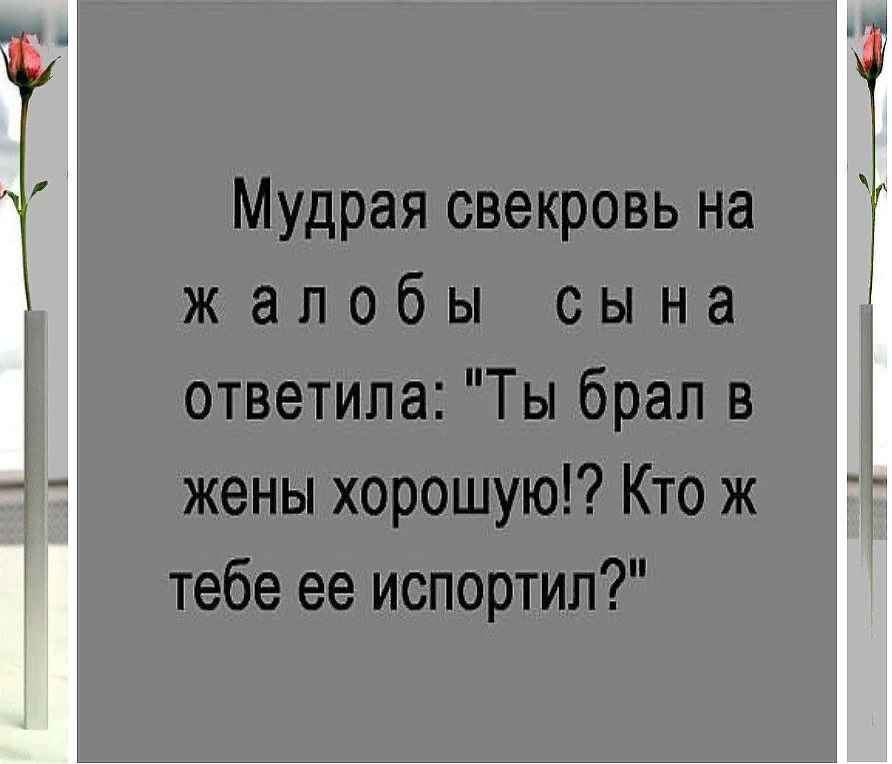 Хочу увидеть как вы живете свекровь ворвалась. Мудрые высказывания про свекровь. Высказывания о свекрови. Цитаты про свекровь. Умные высказывания про свекровь.