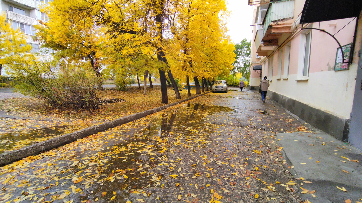 осень в городе моём