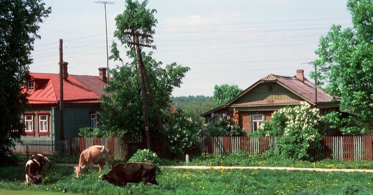 Очень многие в комментариях к моим статья про СССР пишут, что я пишу о том, как в то время жили и питались люди в больших городах, а вот вы напишите про деревню, там люди жили очень плохо.-2