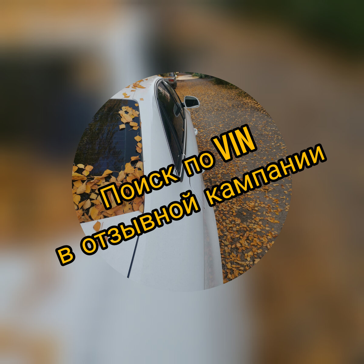 Из личного архива 