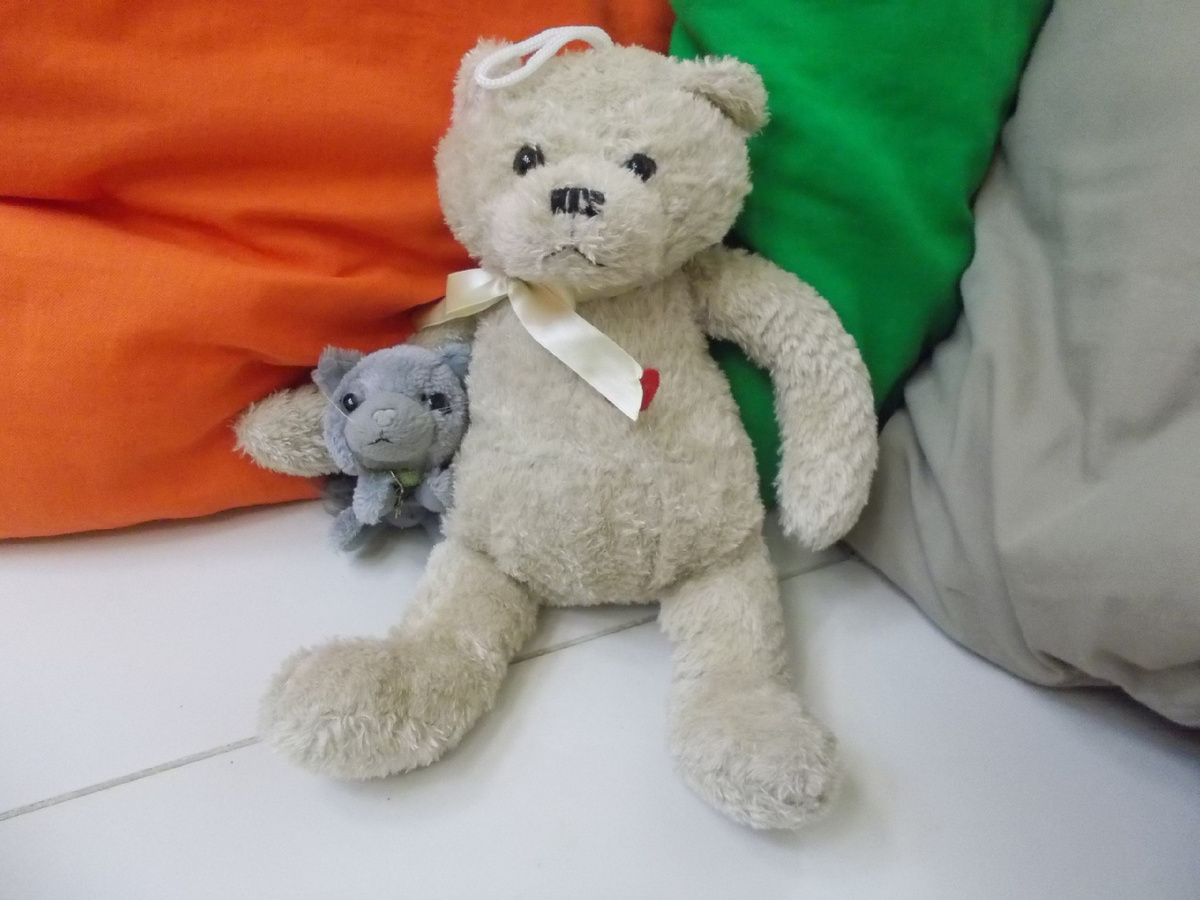 Мишка Кирпу и котёнок