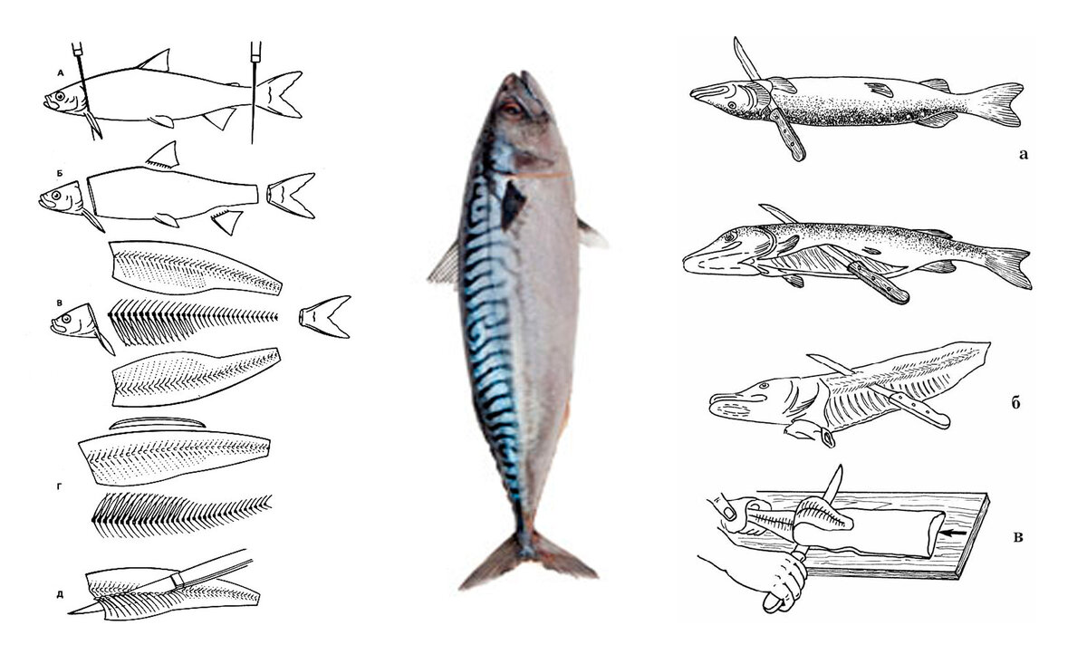 Рыбные блюда. Советы по разделки. | Хозяин И Хозяюшка | Дзен