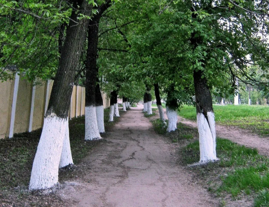 Упрощение ухода и обслуживания