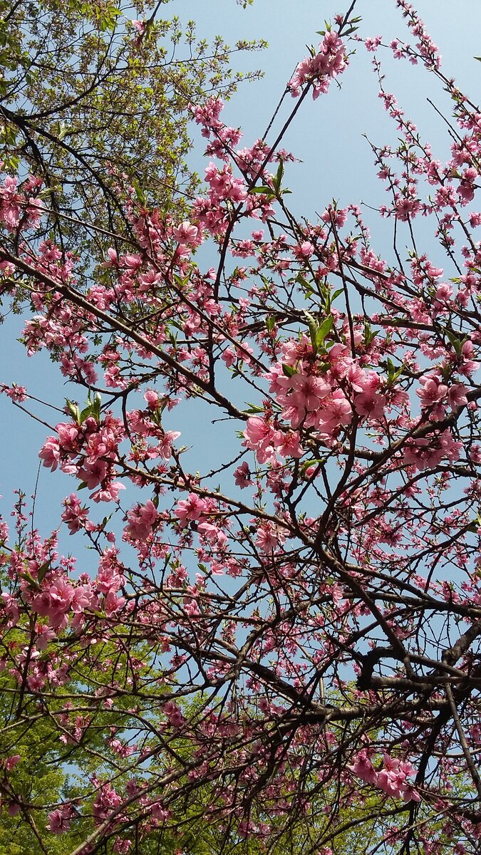 Фото из личного архива