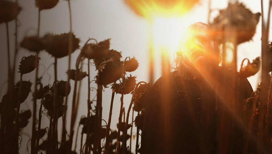 Яндекс картинки.