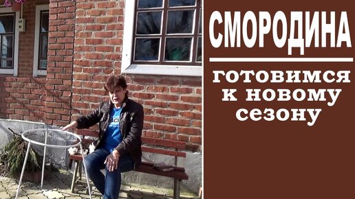 Подпорки для смородины своими руками. Легкие Долговечные Не гниют Не ржавеют