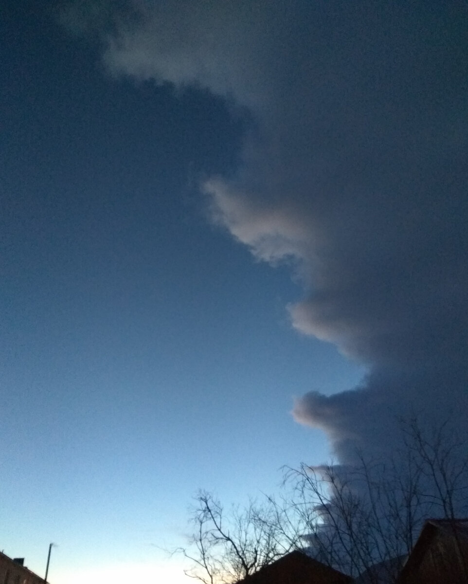 фото из личного архива