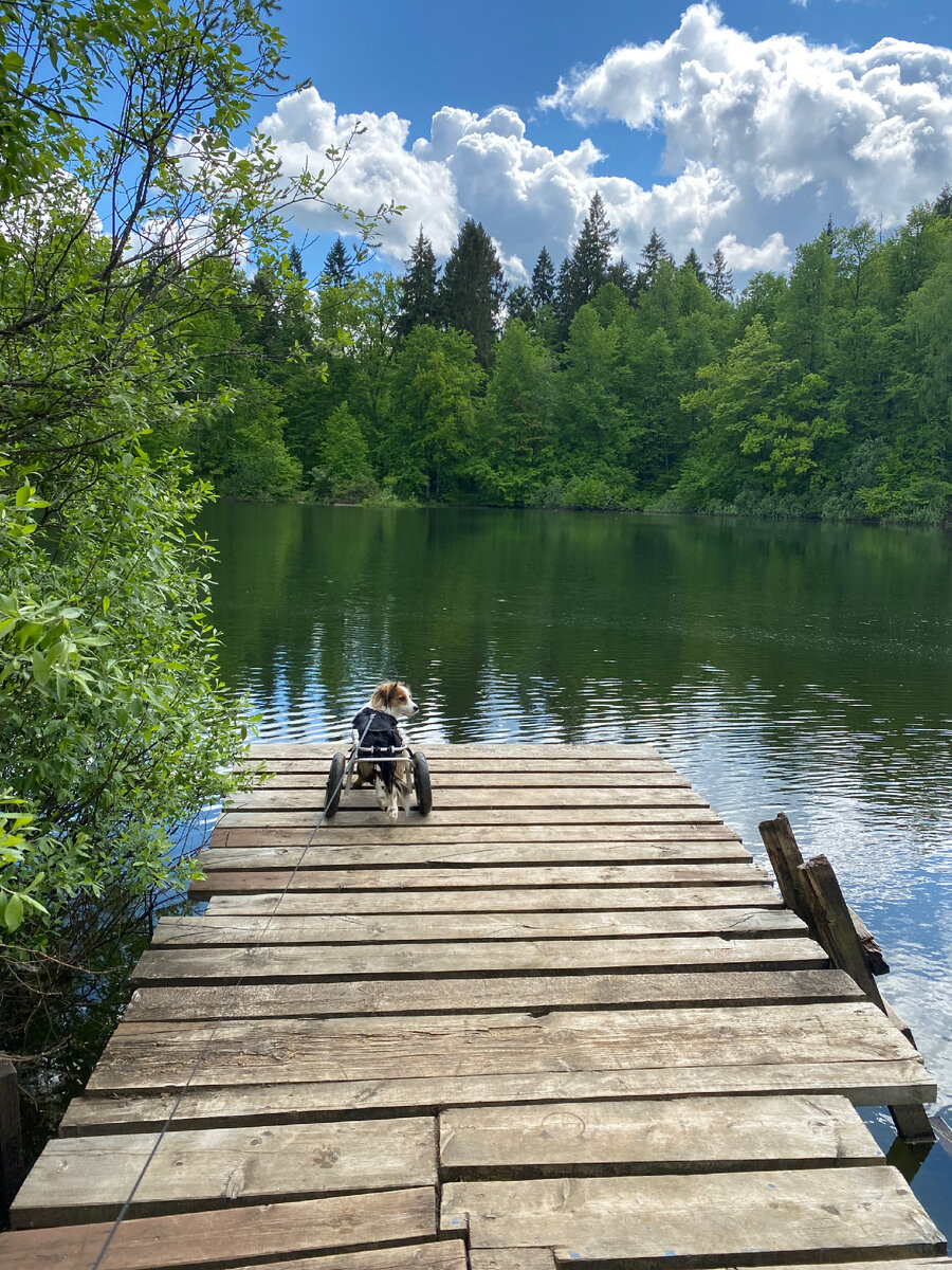Все интересно 