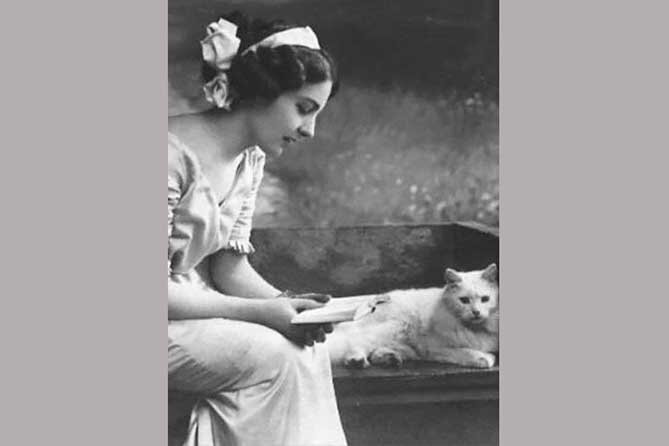 Тэффи читает в компании кота. Фото из открытых источников