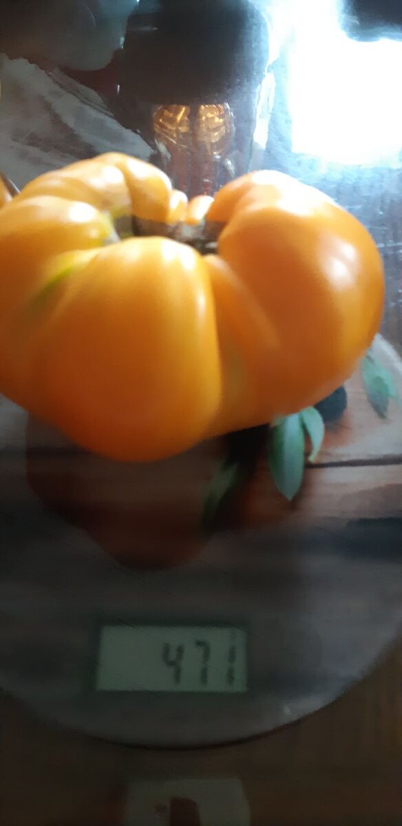 вес одного  - 471 гр