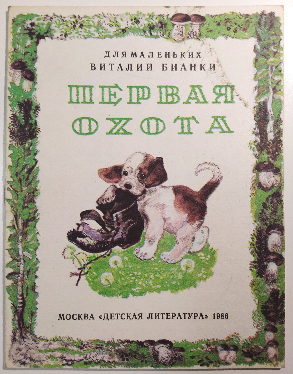 Евгений Чарушин - самый яркий и совершенно невероятный детский иллюстратор  | Наталья Почуева 