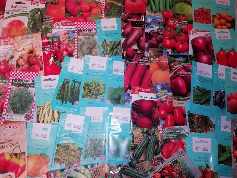    Какие посадки начинать в августе и что поставить в план на осень без отрыва от заготовок: «Дачная помощь» от Россельхозцентра по Владимирской области