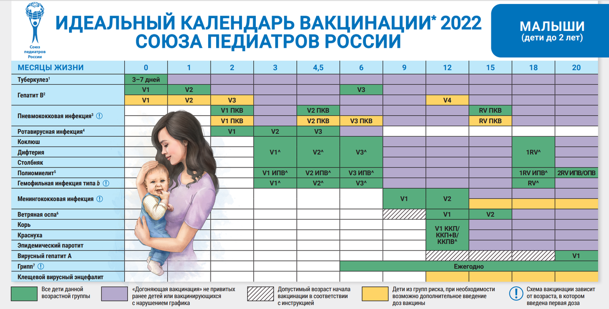 График вакцинации в россии