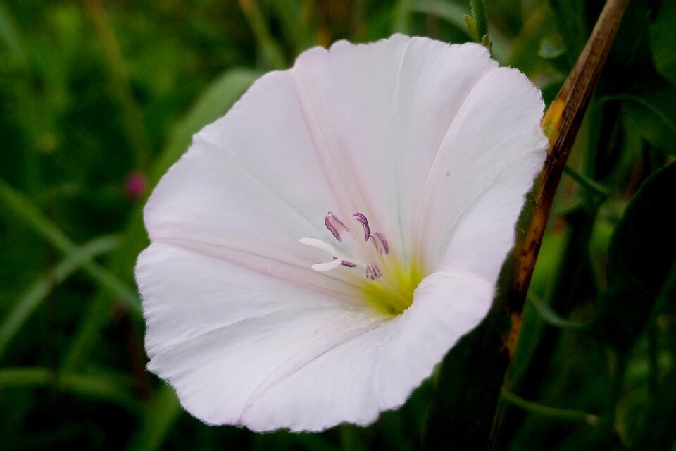     В начале новой недели в Липецк вернется жара Юлия КЛЮЕВА