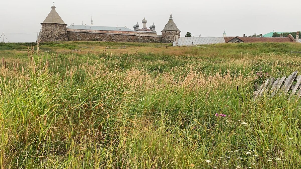 #екатерина иолтуховская #соловки 2022 #соловецкое путешествие #остров #человек нового времени 