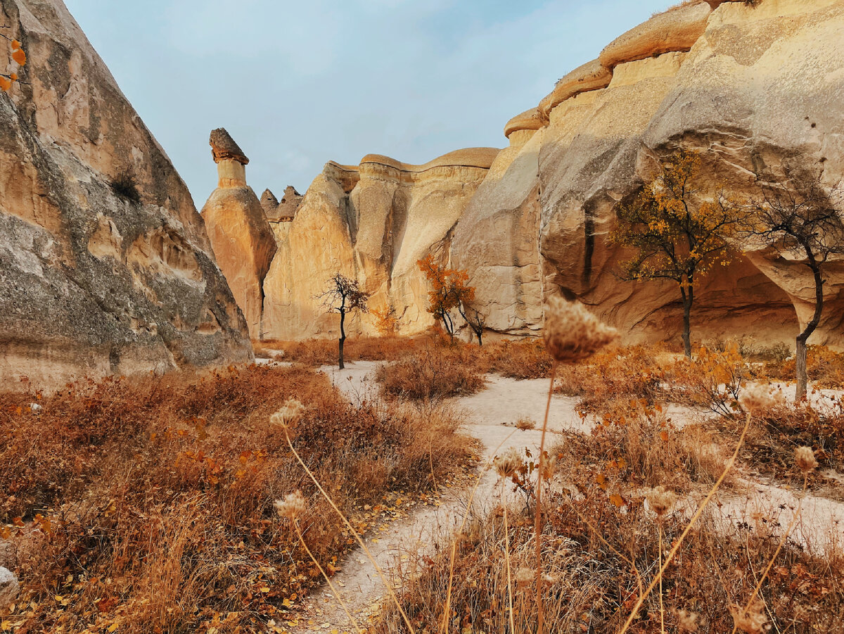 Долина Монахов 