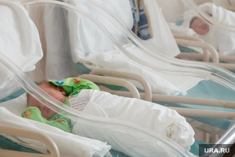    В России фиксируют снижение рождаемости детей на 6,5%