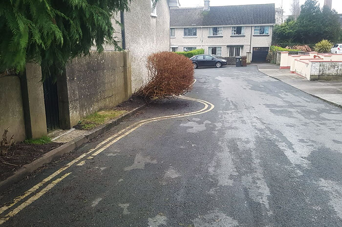 Фото: Riresurmort / Reddit📷
