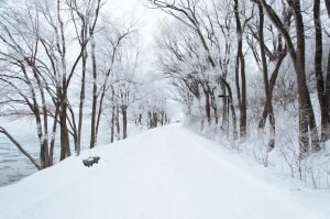    Фото: unsplash.com Ирина Моргунова