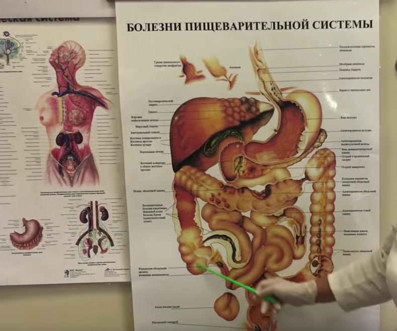 Нарушение гормонального баланса. Иллюстрации гормонального баланса в организме.