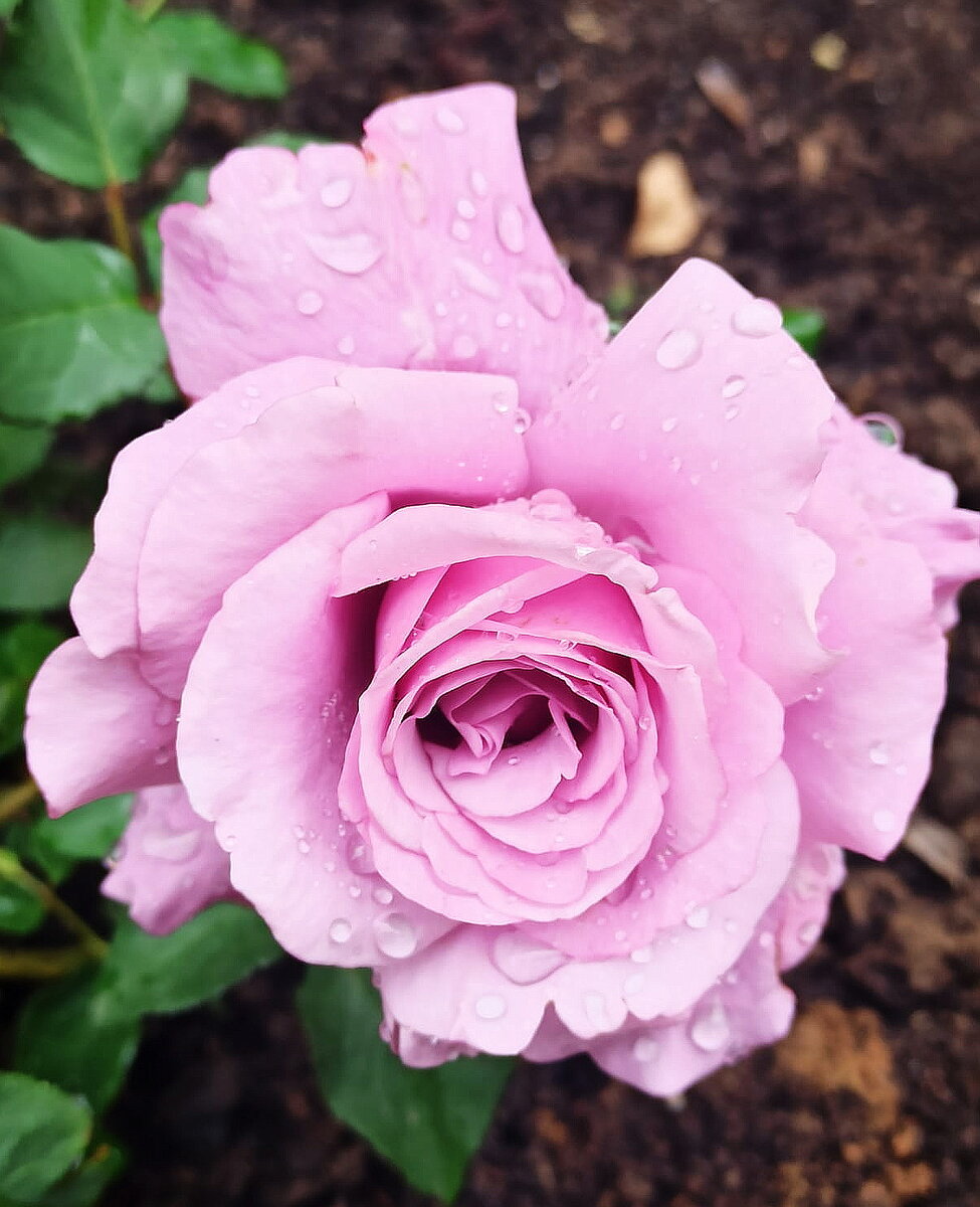 Фото автора sFoty