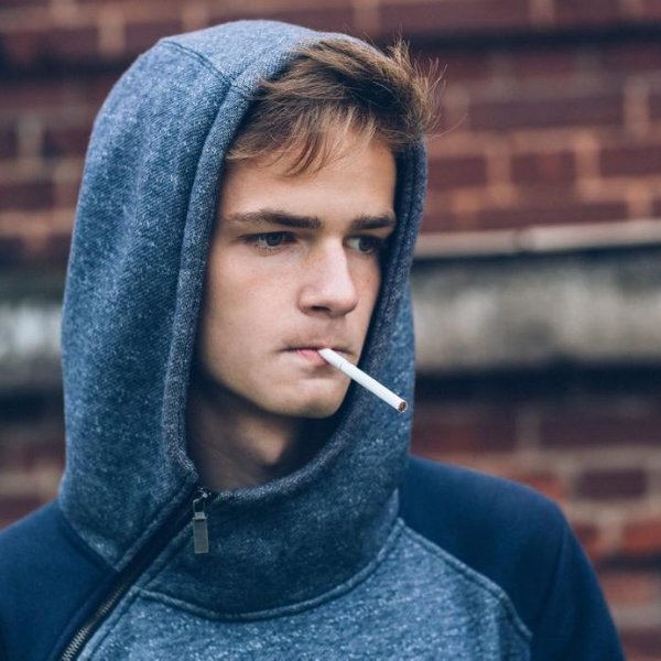 Яндекс картинки