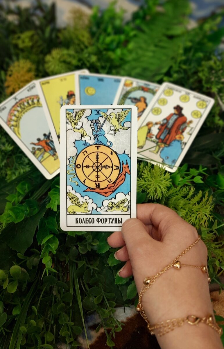 #тарологспб     #онлайнтаролог    #консультациятаролога  