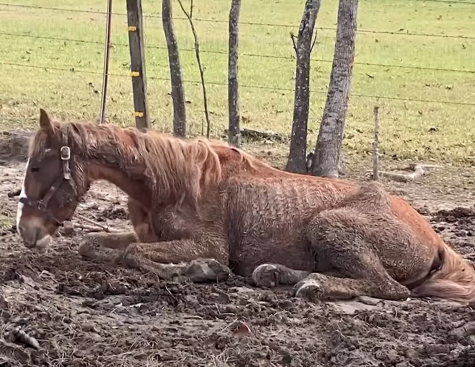 В центре спасения