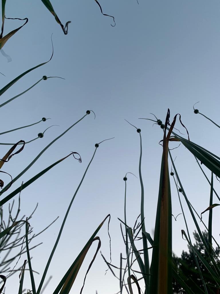 Фото из архива автора.