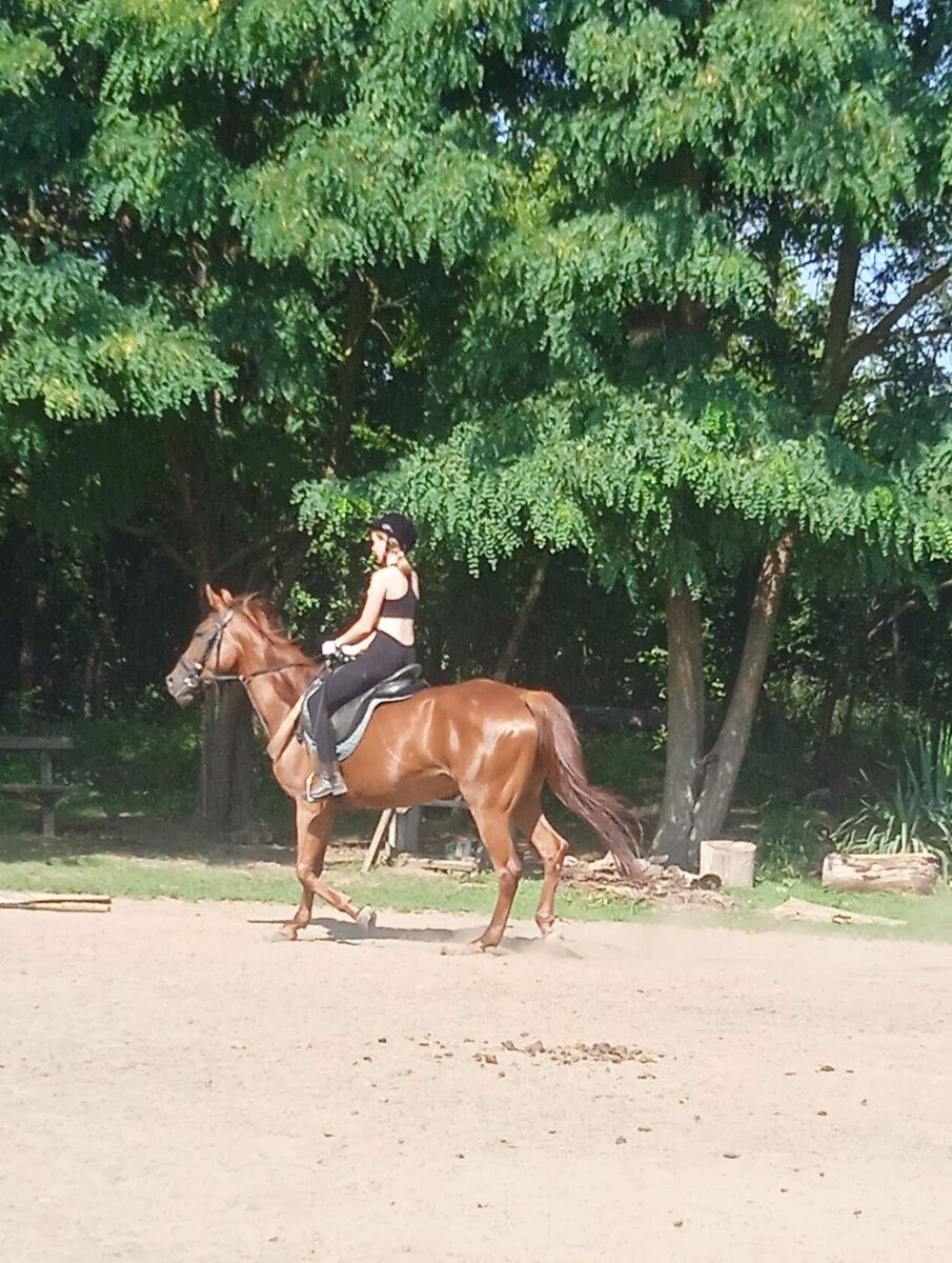 Моя дочурка на Харизме, спортивной лошадке, тренируется. 
