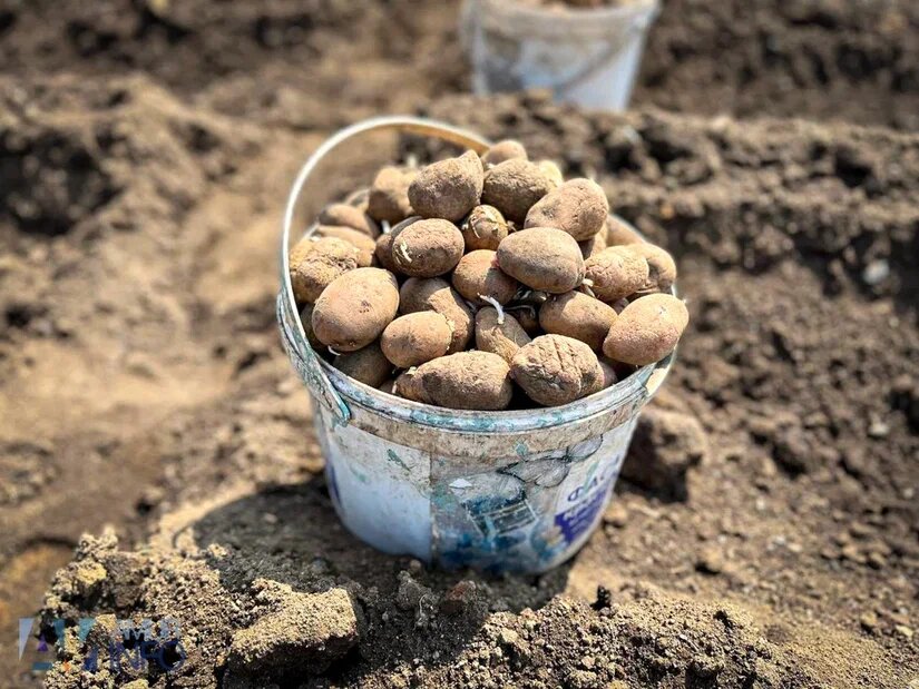    Фото: Амур.инфо