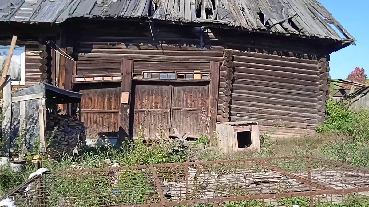 Дом и будка на месте