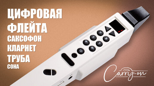 Цифровая флейта, труба, саксофон, кларнет... Carry-on Digital Wind Instrument