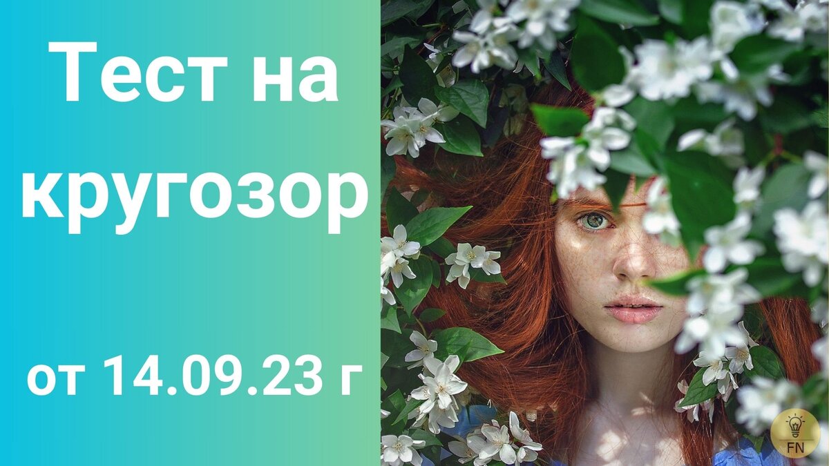 Источник иллюстраций: pixabay.com