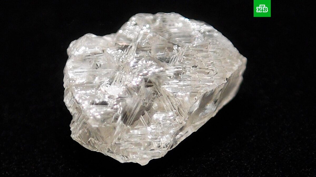    Фото: РИА Новости © 2023, Владимир Вяткин