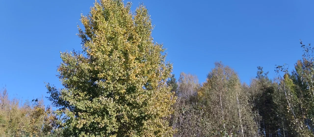 Какое небо синее!