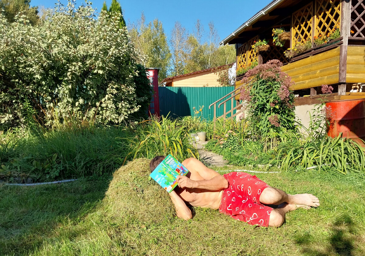 Очень полезная книга "Умный огород в деталях". Автор Н. И. Курдюмов