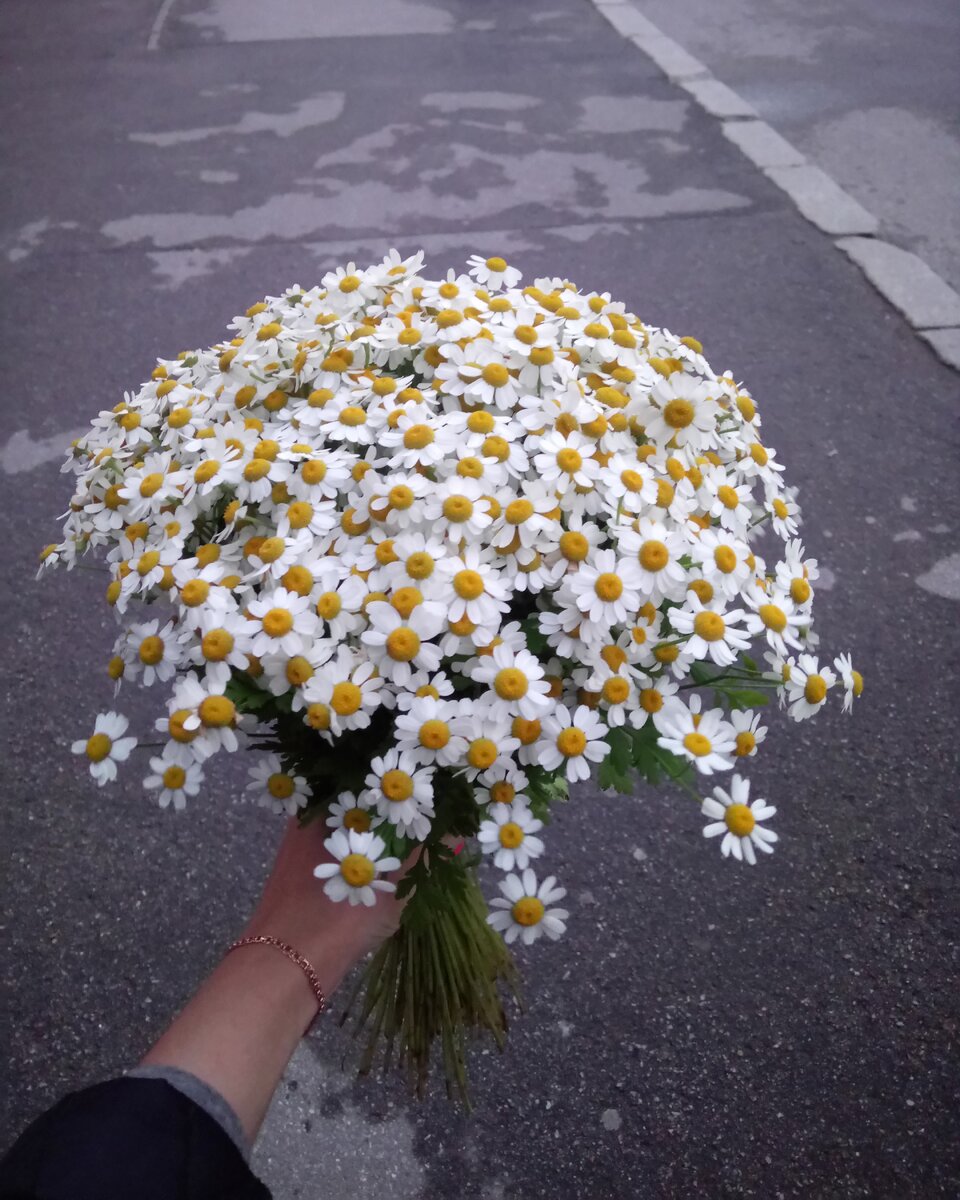 Источник: https://vk.com/club180483245