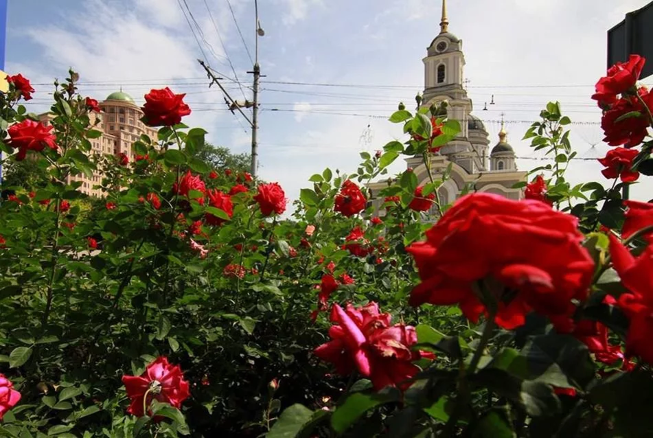 Донецк город миллиона роз