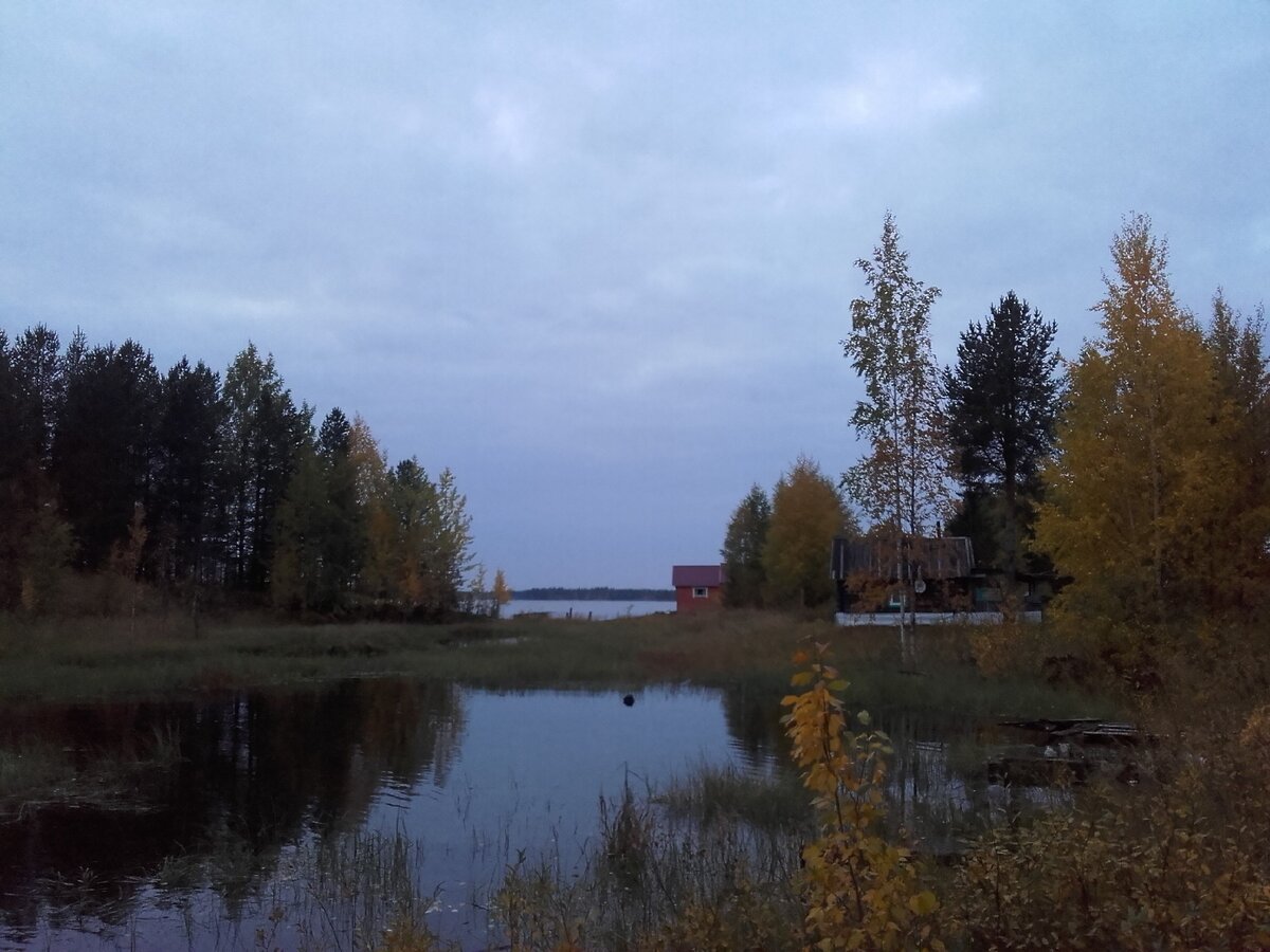 Деревня Лопская Запань. Сентябрь 2017 г.