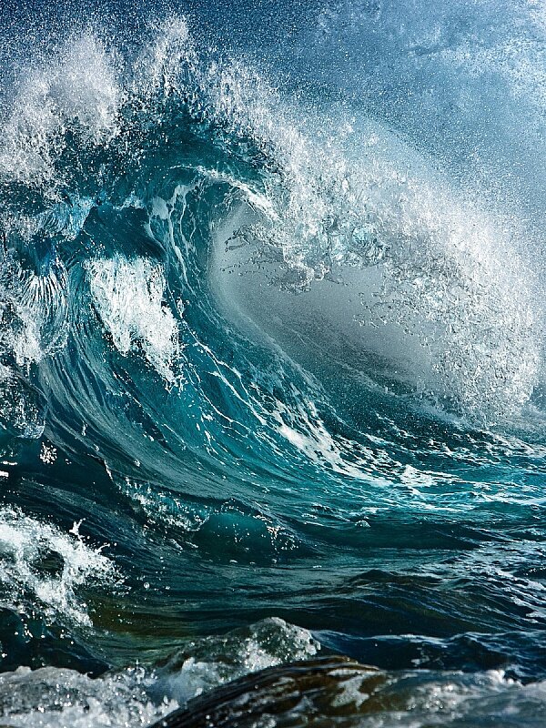 Яндекс.картинки