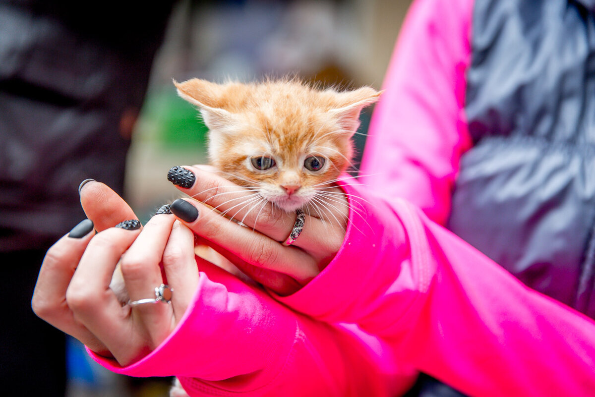Фото взято из открытого источника для иллюстрации статьи