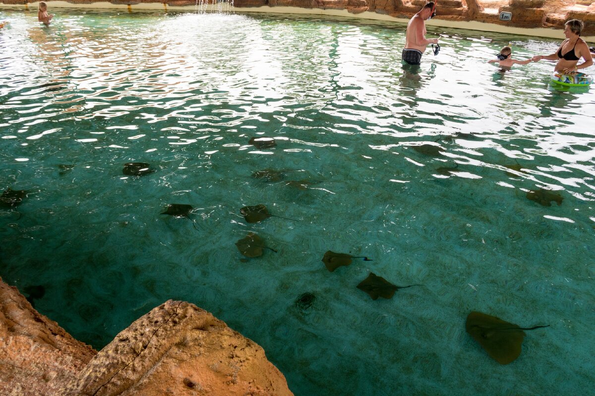 Вода в бассейнах турции. Морской парк Sealanya. Аквапарк Sealanya Seapark. Морской парк Турция Сиде. Аквапарк Sealanya Seapark (Турция, Алания).