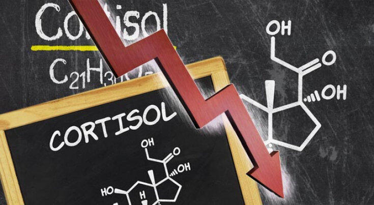 Гормон стресса - кортизол