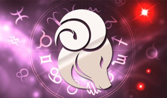 Фото из сети.