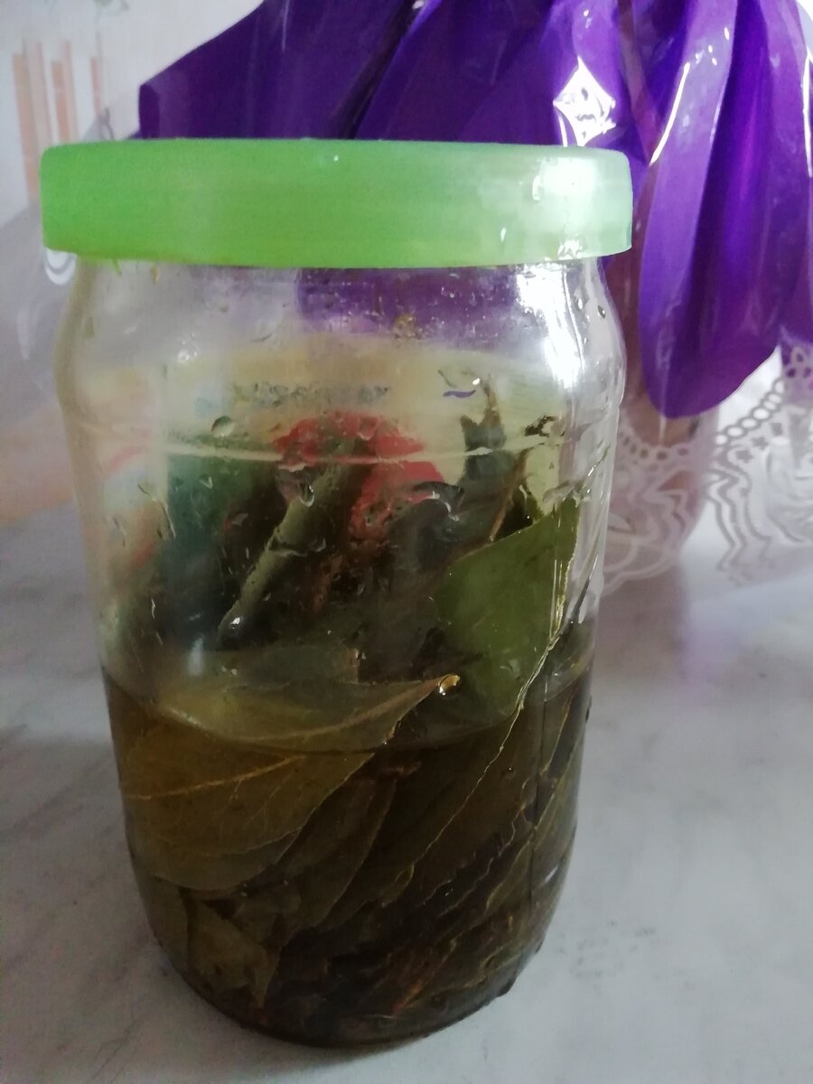 фото  канала Ноэль Монье