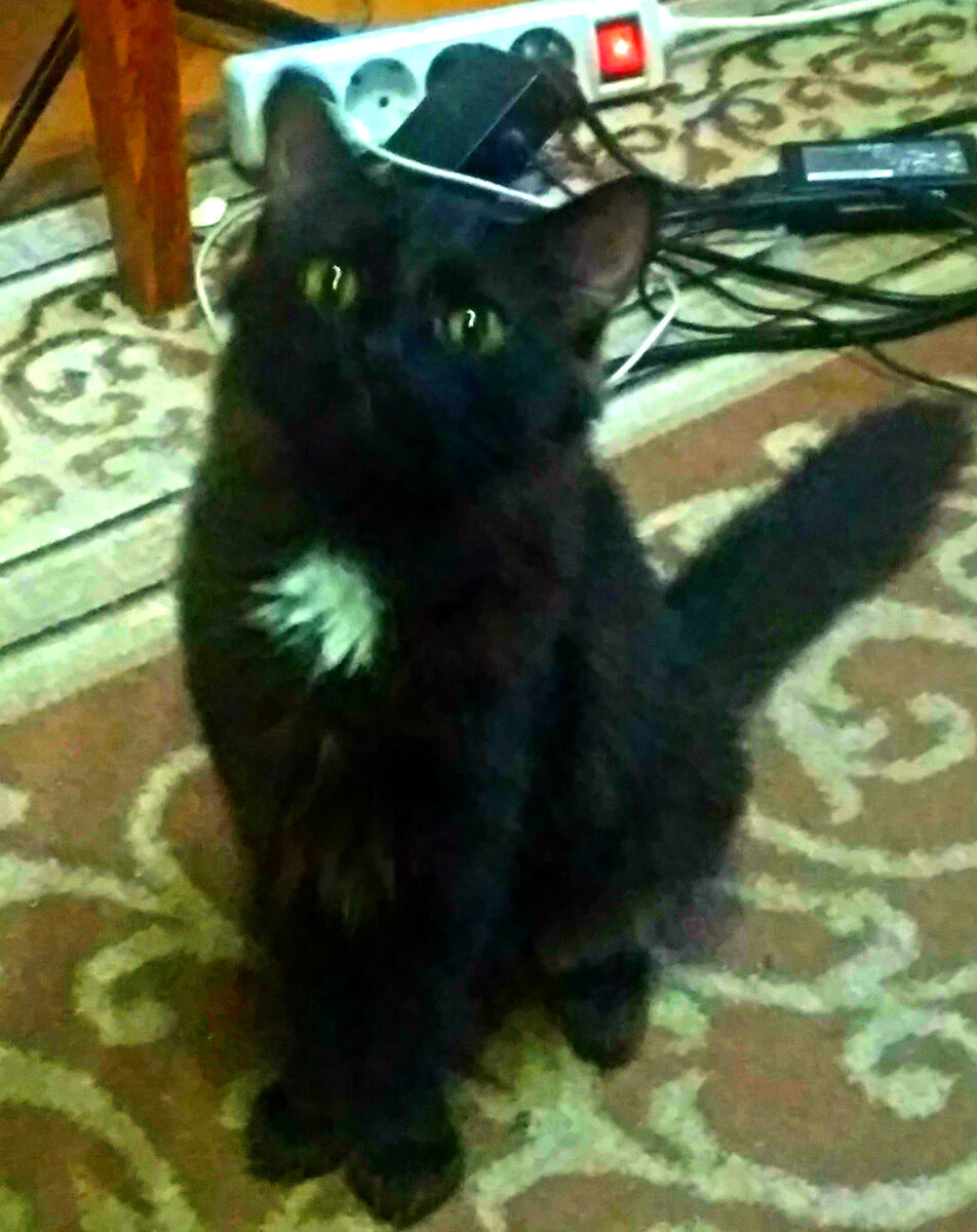 И что я сделала не так ?